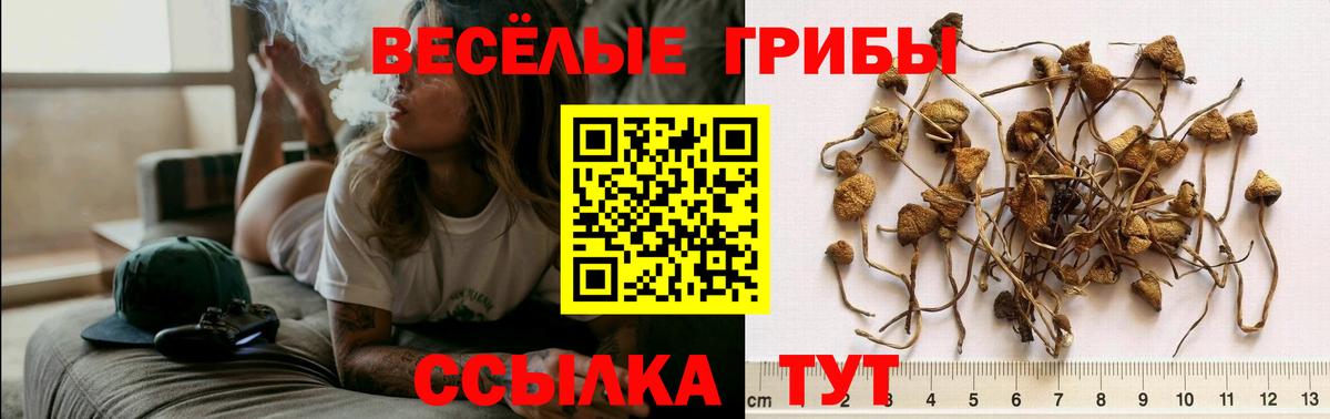 продажа наркотиков  Галлюциногенные грибы MAGIC MUSHROOMS  Вход с VPN  Новоуральск 
